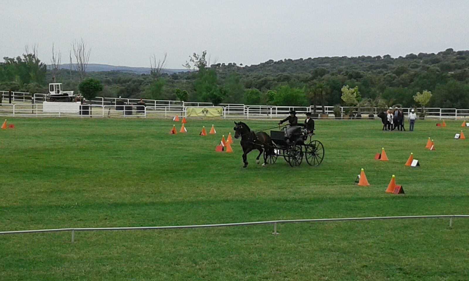 Medalla de bronce en limoneras de la Selección Navarra de Enganches en el Campeonato de España 2017